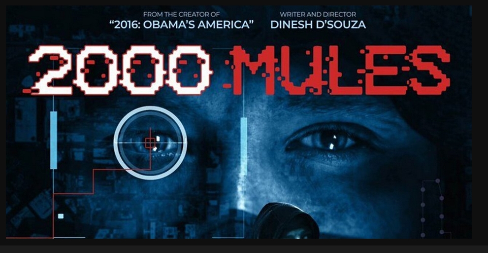 Der Wahlbetrug in den USA – jetzt im Kino “2000 Mules”