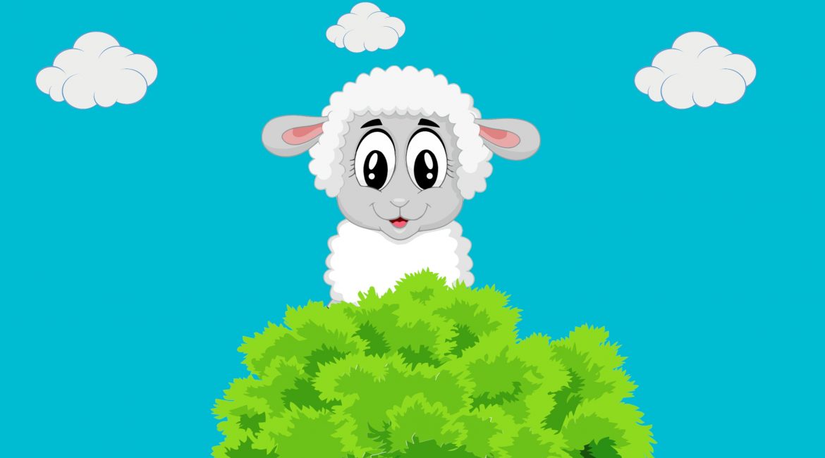 Die Schafe und die logischen Fakten