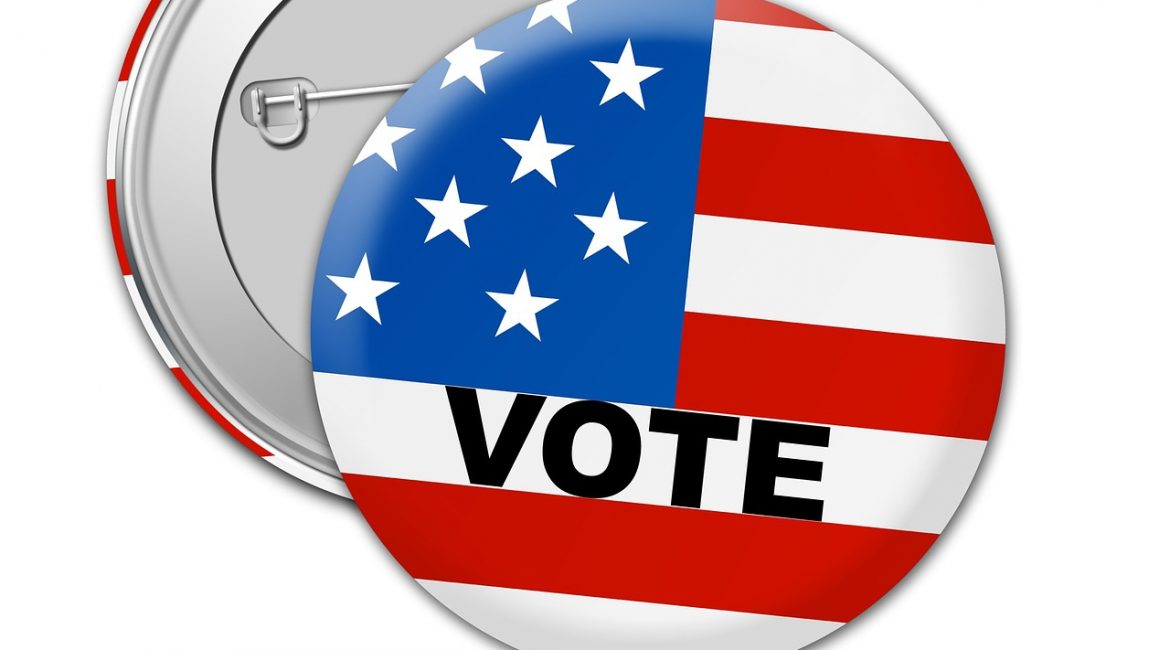Zwischenwahlen in den USA – OSZE Wahlbeobachter nicht zugelassen