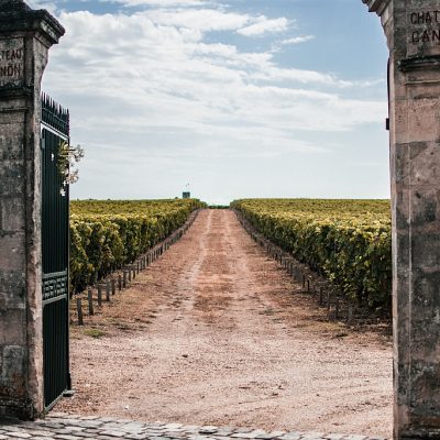 Weine aus Bordeaux – Investment und Faszination