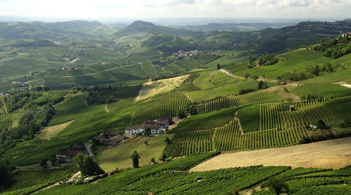 Die Weinregionen in Italien – Das Piemont