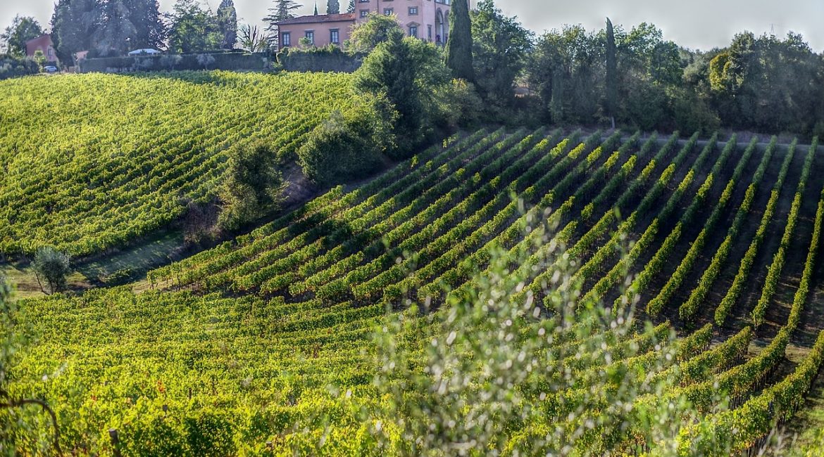 Die Weinregionen in Italien – Die Toscana
