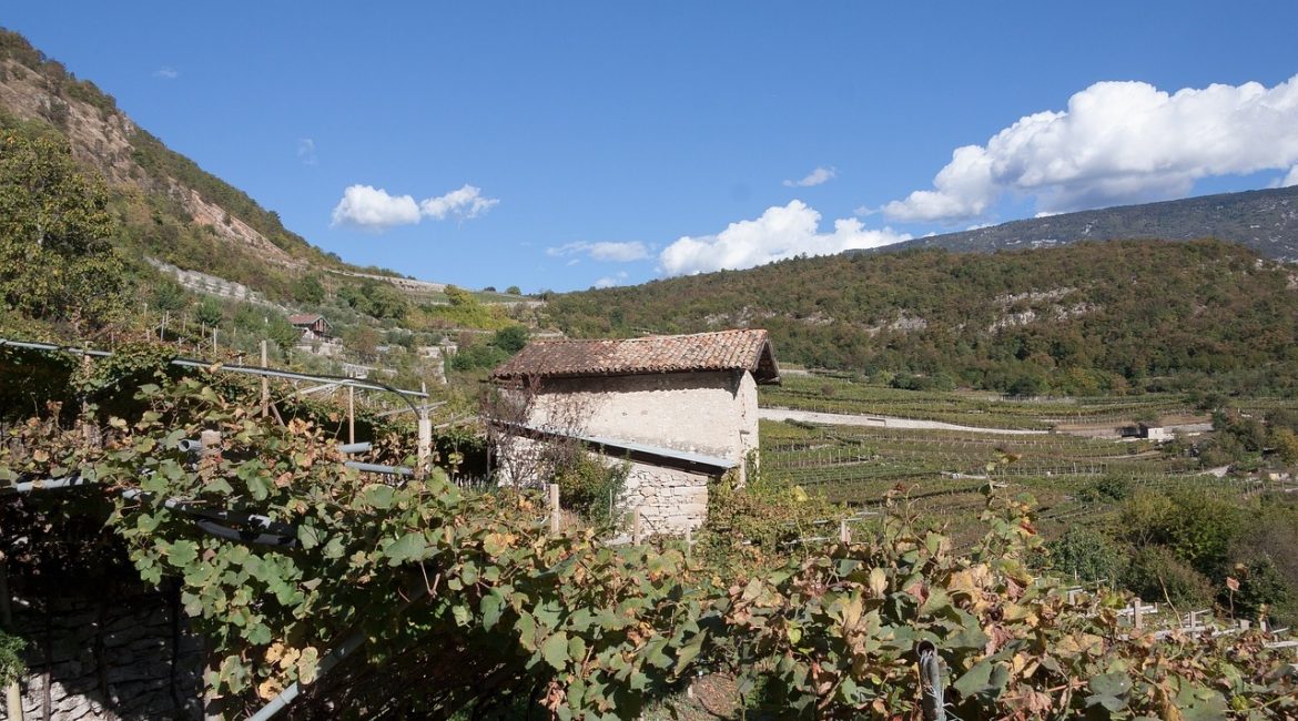 Die Weinregionen in Italien – Südtirol